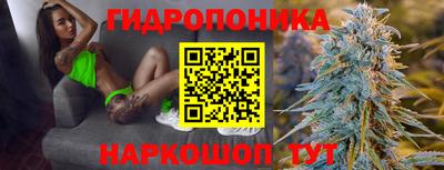 гашик Ставрополь