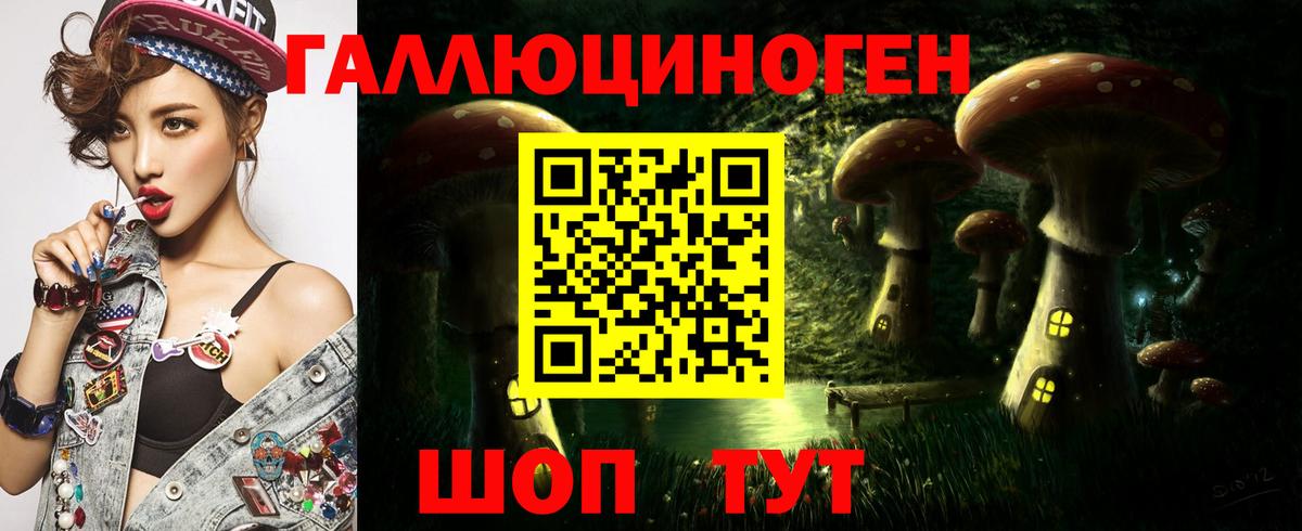 Галлюциногенные грибы Psilocybe Орёл